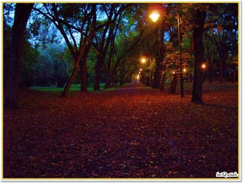 Jesienny park wieczorem - Garnek.pl