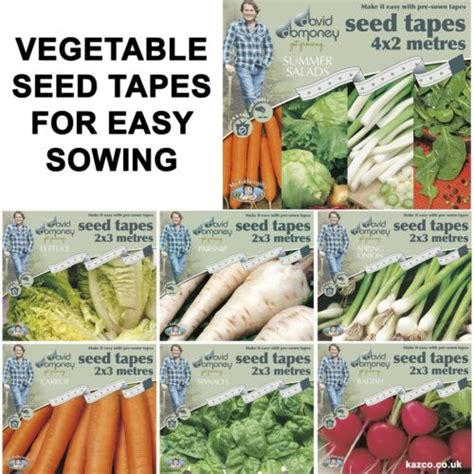 Vegetable Seed Tapes By Mr Fothergills For Easy Sowing Uk Delivery Included Ebay