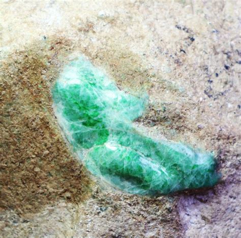 5 3lb natural jadeite boulder rough raw cut natural form tyte jade specimen ebay