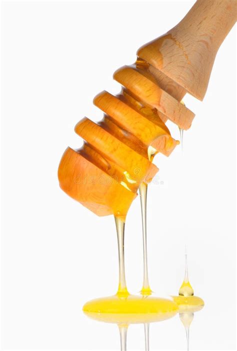 Honey Drip Stock Photo Image Of Drop Closeup Ingredient 39130696