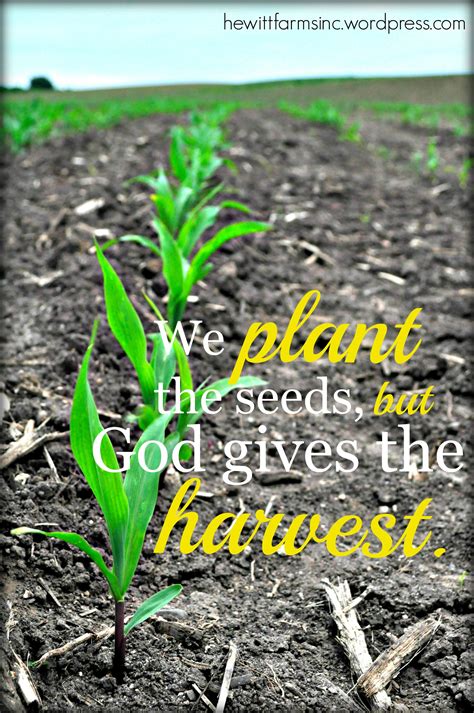 We Plant The Seed But God Gives The Harvest Harvest Quotes Seed