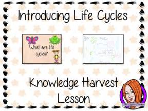 Life Cycles Knowledge Harvest Lesson Teaching Resources