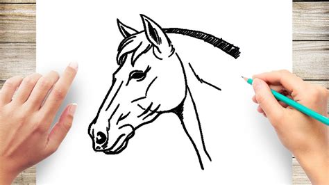 Easy Simple Horse Head Drawing