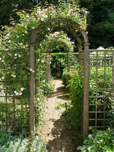 How To Plant With A Trellis