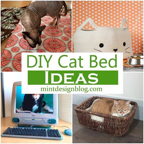 24 Diy Cat Bed Ideas With Pictures Mint Design Blog