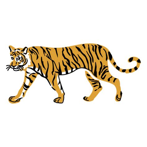 Walking Tiger Cute Look Transparent Png And Svg Vector File