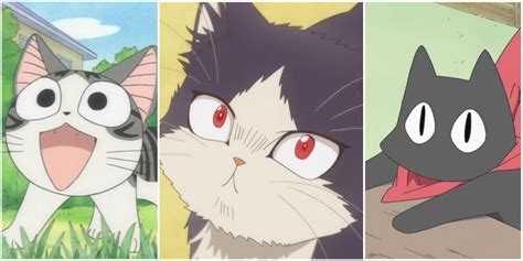 Discover 80 Anime With Cat Best Vn