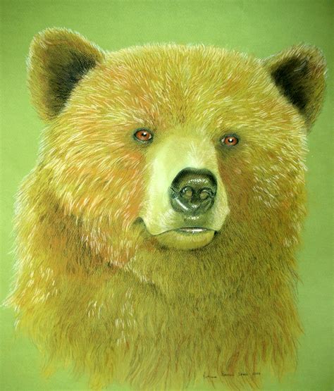 Grizzly Bear Pet Portraits By Victoria Peterson Laird Dog Horse