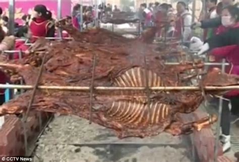 Guinness World Record Set As 196 Whole Lambs Spit Roasted