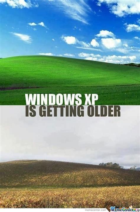 As of now, there would be no windows 11. Windows Xp Memes. Best Collection of Funny Windows Xp Pictures
