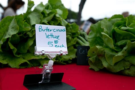 VivaCC | Events | Corpus Christi Caller-Times