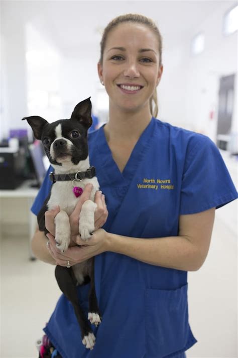 Online appointments must be made between 8:00 am and 4:30 pm. North Nowra Vet Hospital & Jervis Bay Clinic | Available ...