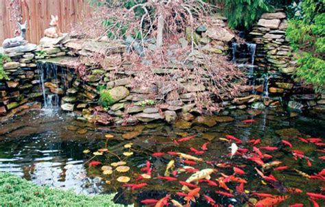 Tips For Farm Pond Design In Your Backyard Countryside