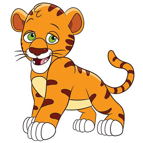 Tiger Cub Illustrations Royalty Free Vector Graphics And Clip Art Istock