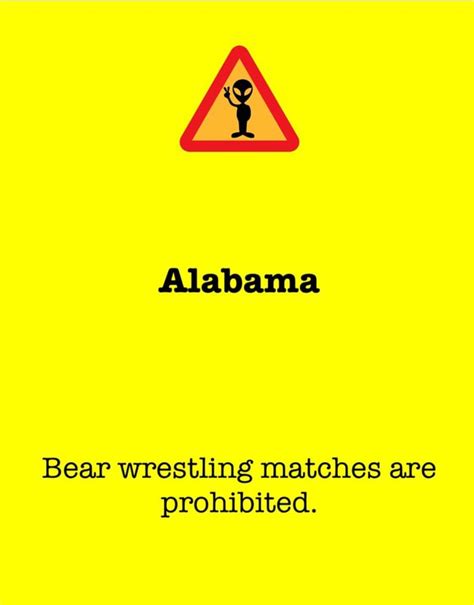 Alabama Bear Wrestling Matches Are Prohibited