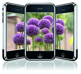 Here are some of the best landscape design software for professionals and homeowners. Top Landscape App for 2016 Excites Users