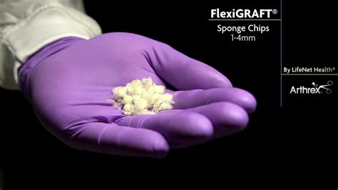 Arthrex Flexigraft Sponge Chips 1 4 Mm Lifenet Health
