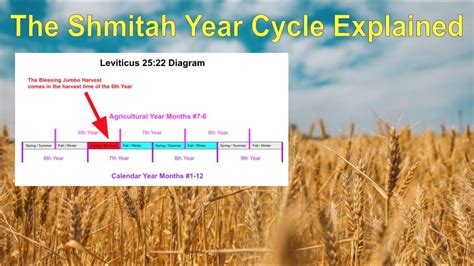 The Shmitah Year Cycle Explained On The 364 Day Calendar Youtube