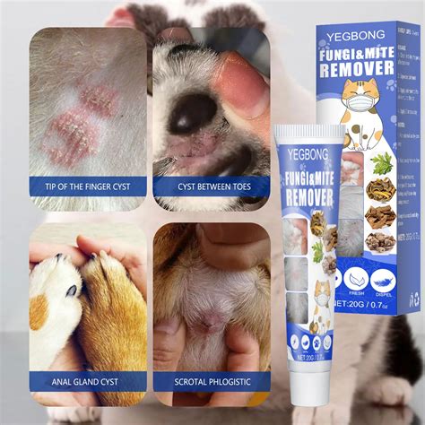 Pet Mite Removal Ointment Pet Dog Skin Anti Itch Cat Fungus Removal