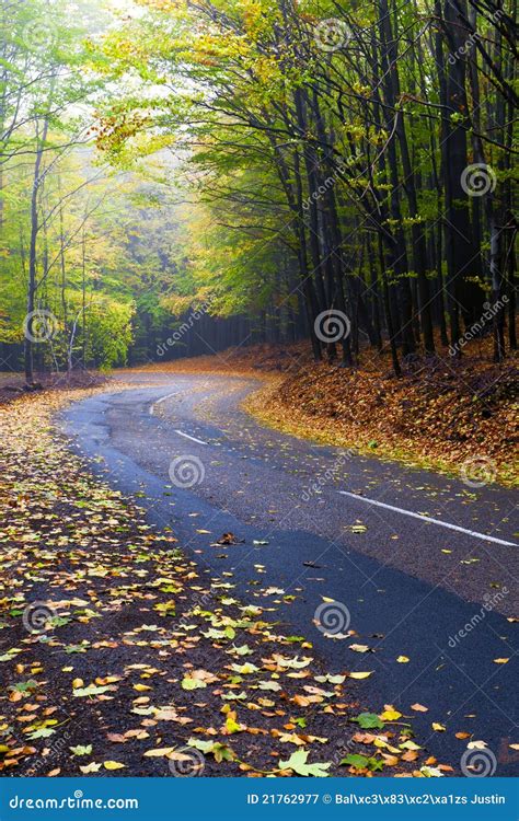 Mountain Road In A Beautiful Autumn Forest Stock Image Image Of