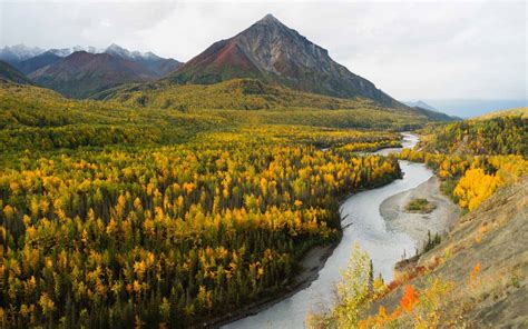 Alaska Forum On The Environment Alaska Business Magazine