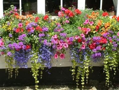 Awesome Plant Combinations For Window Boxes 16 Balcony Flower Box