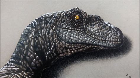 Drawing Velociraptor Jurassic World Realistic Drawing Youtube