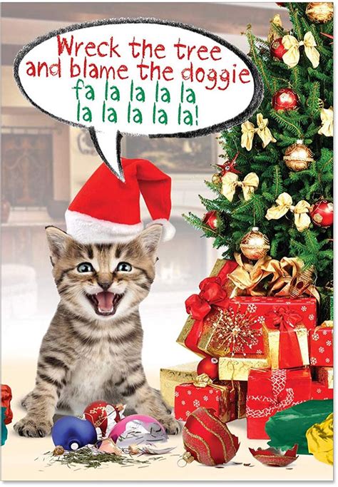 Nobleworks 12 Boxed Christmas Greeting Cards Funny Animal Humor