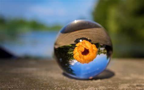 Download Wallpaper 3840x2400 Ball Flower Glass Blurring 4k Ultra Hd