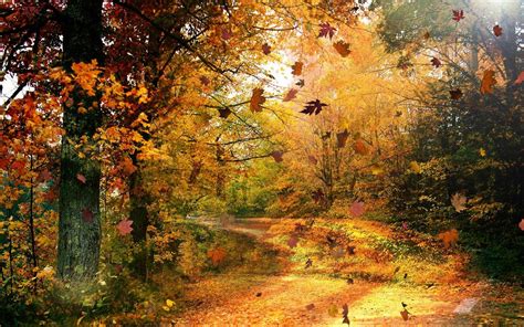 Autumn Wallpaper Widescreen ·① Download Free Amazing High Resolution