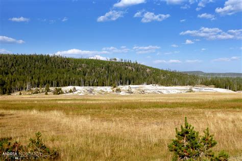 Geyser Hill Yellowstone National Park Wyoming Andrea Moscato Flickr