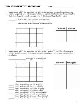 We did not find results for: Monohybrid Cross Problems 2 Worksheet with Answers