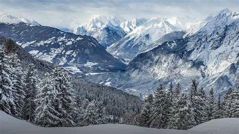 Snowy Mountain Peaks Of Tyrolean Alps In Distance Windows Spotlight