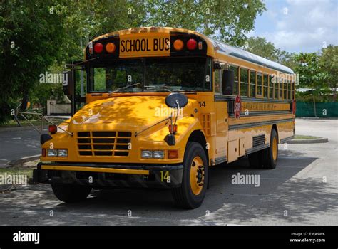 Classic Yellow School Bus Miami Florida Stock Photo 84435167 Alamy