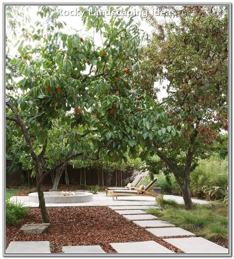 How To Make The Most Out Of Your Landscape Backyard Trees Fruit Tree