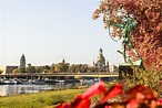 4 Fakten über Dresden, die du noch nicht wusstest | So lebt Dresden