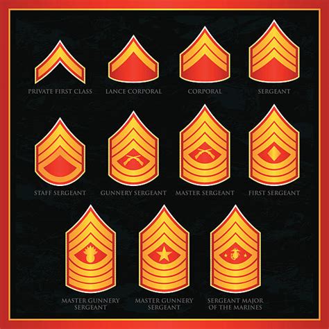 Marine Corps Ranks Illustrations Royalty Free Vector Graphics And Clip