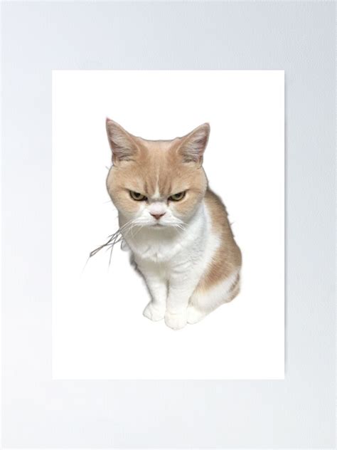 Cute Grumpy Cat Cat Meme Poster For Sale By Pusla Redbubble