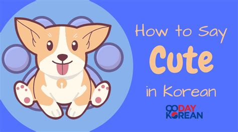 How To Say Cute In Korean Guide To Being Adorable