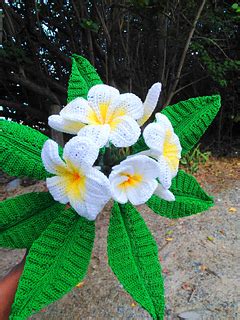 Check spelling or type a new query. Ravelry: Frangipani Plumeria Flower pattern by Leticia Lebron