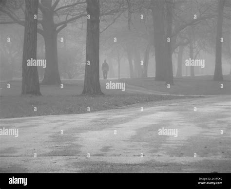Man Walking Alone In Foggy Forest Stock Photo Alamy