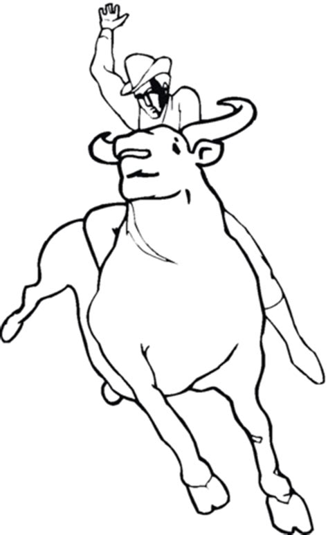 desenho de touro de rodeio  colorir desenhos