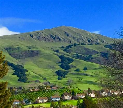 Mission Peak Regional Preserve Fremont 2019 All You Need To Know