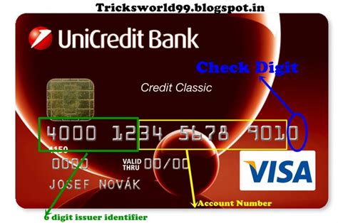 How Do I Use A Visa T Card Online