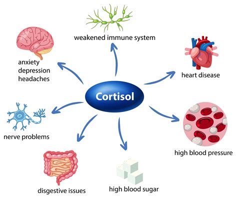 Cortisol and Diabetes: Is there a Hormonal Connection?