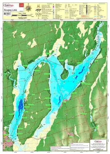 Lake Scugog Wallmap 246 Waterproof Map From Trakmaps