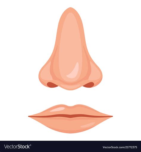 Human Nose And Mouth Royalty Free Vector Image