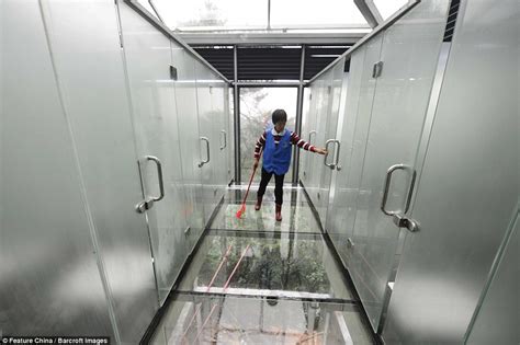 Chinese Ecological Park Opens Public Toilets Made Of Glass On Top Of