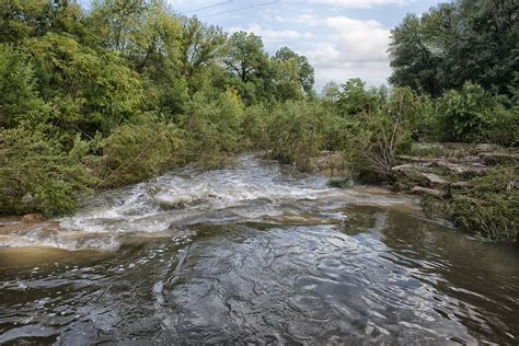 Shoaling In Shoal Creek Shoal Creek Conservancy