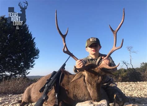 December 4 2020 Trophy Sika Hunt — Texas Hunt Lodge
